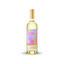 Viognier I Sklep z winem Château Isolette
